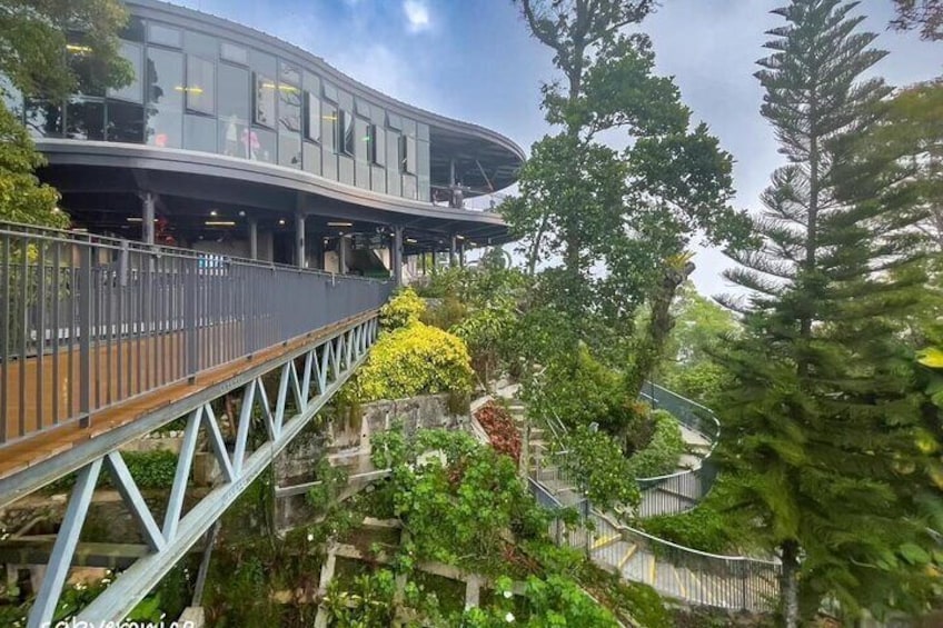 A modern building with a curved roof, a wooden walkway, and lush greenery. 2