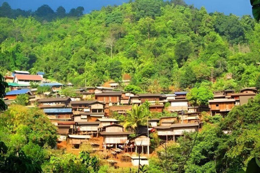 A hillside village with traditional houses and dense forest. 1