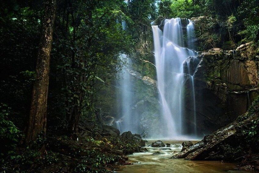 A waterfall in a forested area with dense foliage and rocky terrain. 4