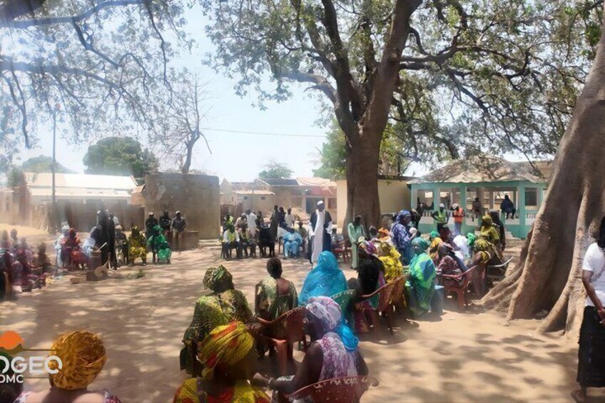 A group of people gathered outdoors, some sitting and others standing, under large trees. 5