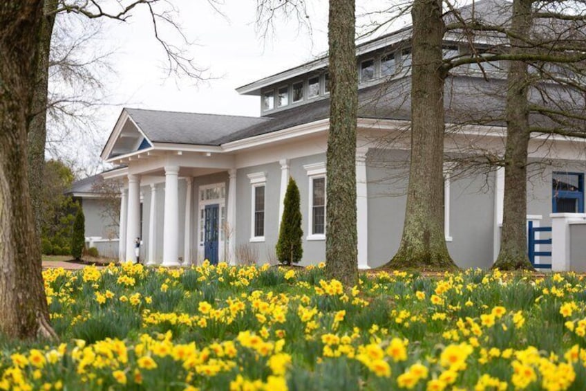 A house with a white facade, a blue door, and a garden of yellow flowers. 5