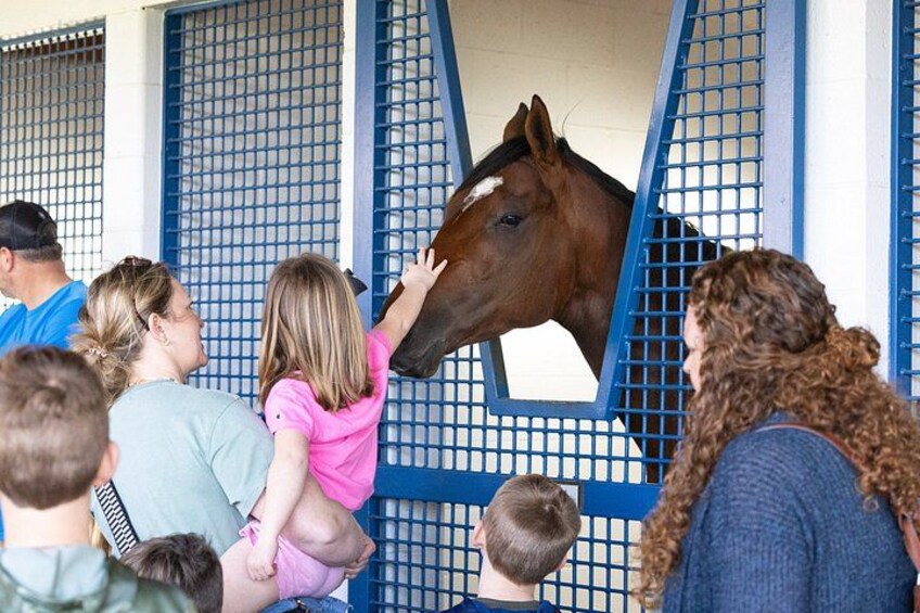 A group of people interacting with a horse in a stable. 2