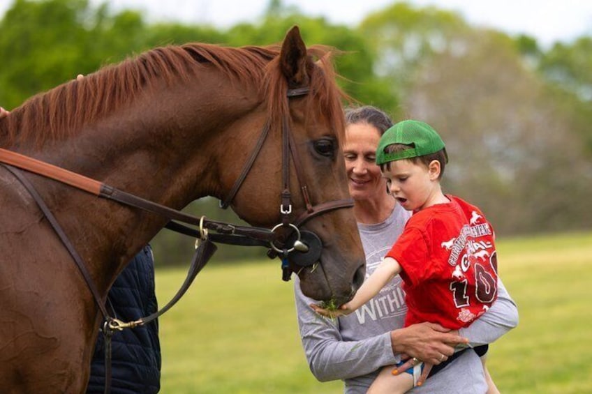 A person holding a child near a horse in a grassy field. 4