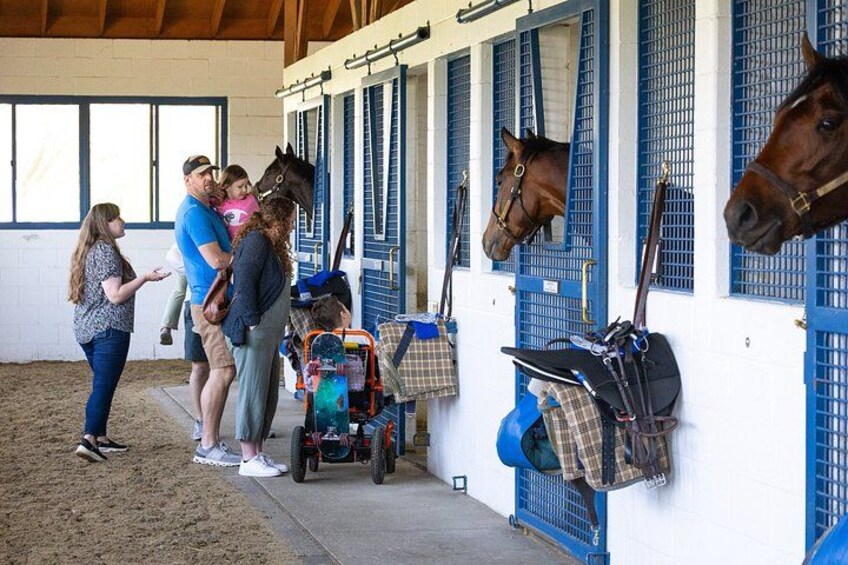 A stable with blue stalls, a horse, and people interacting. 5