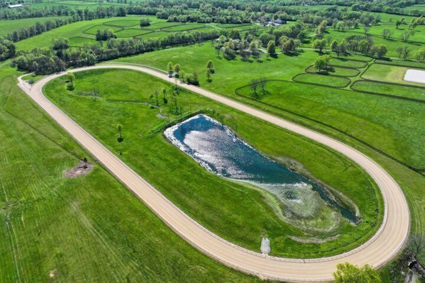 An aerial view of a winding road through green fields with a pond and trees. 2