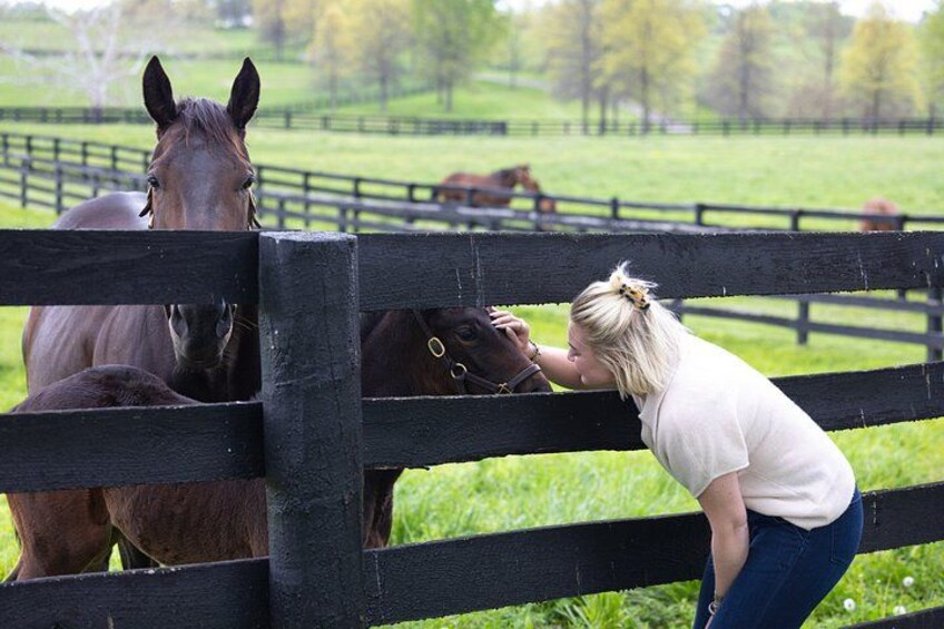 A person leaning on a fence with a horse behind it. 3