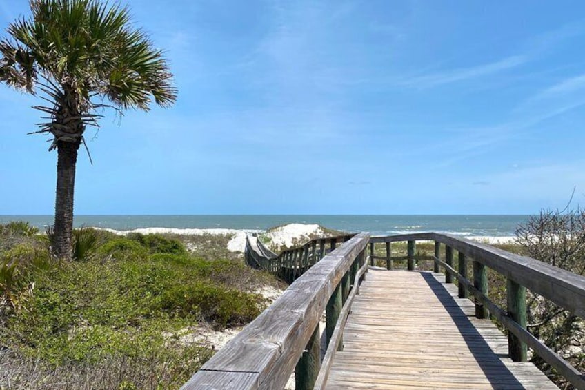 A wooden boardwalk leading to a beach with a palm tree and dunes. 4