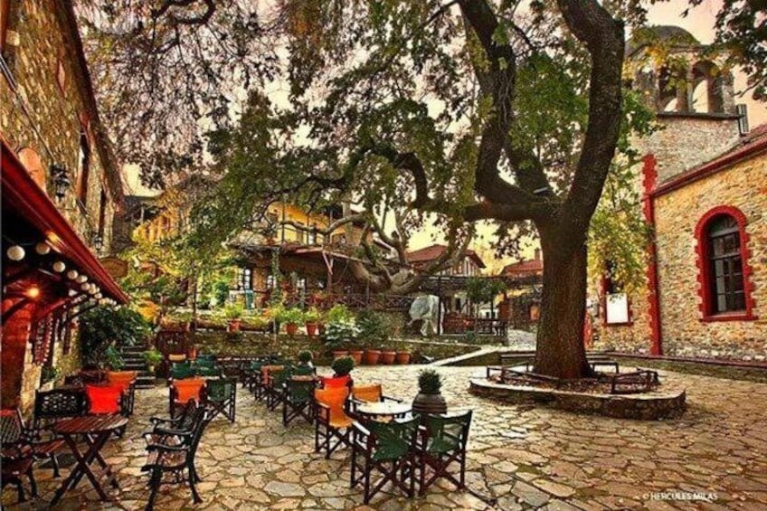 A cobblestone courtyard with outdoor seating, trees, and historic buildings. 1