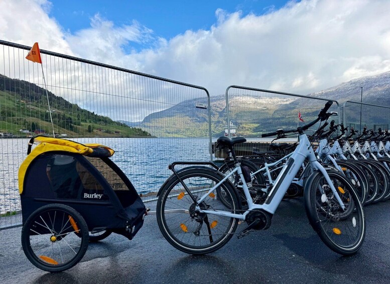 A row of bicycles parked by a lake with a mountain backdrop. 5