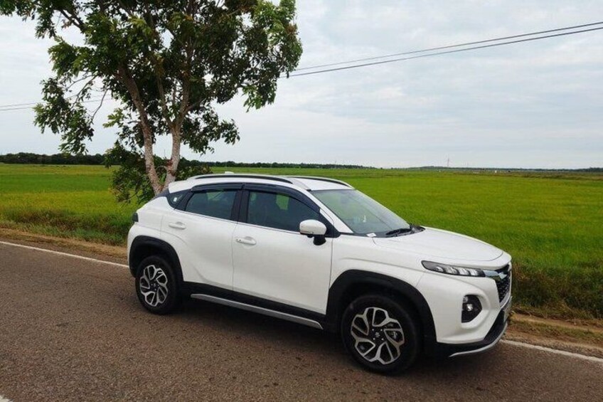 A white SUV parked on a rural road with a tree and open fields in the background. 1