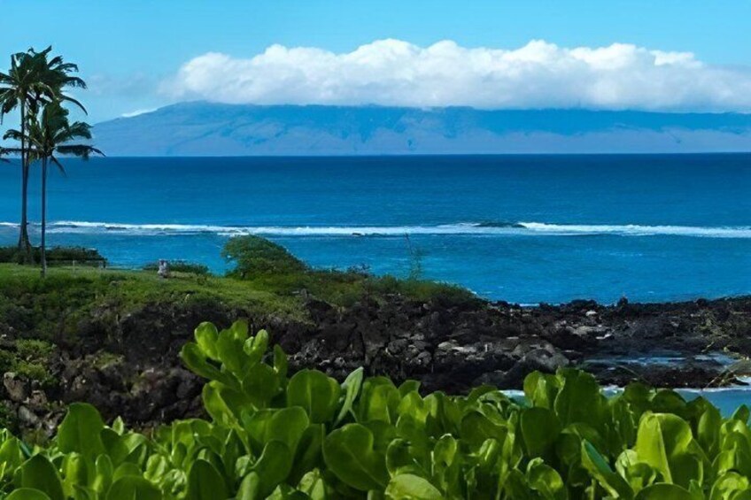 A coastal landscape with a clear view of the ocean, a mountain in the distance, and a palm tree. 1