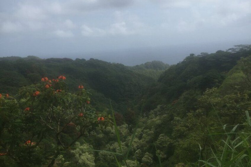 A lush green valley with dense vegetation and a few orange flowers in the foreground. 5