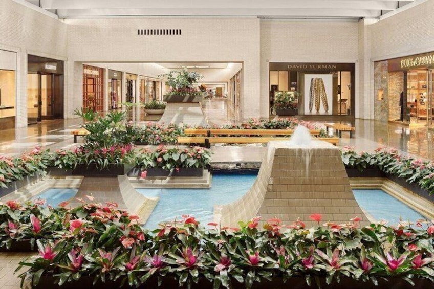 Dallas: Shopping AdvenTOUR with Lunch/Dessert at Cretia's 5