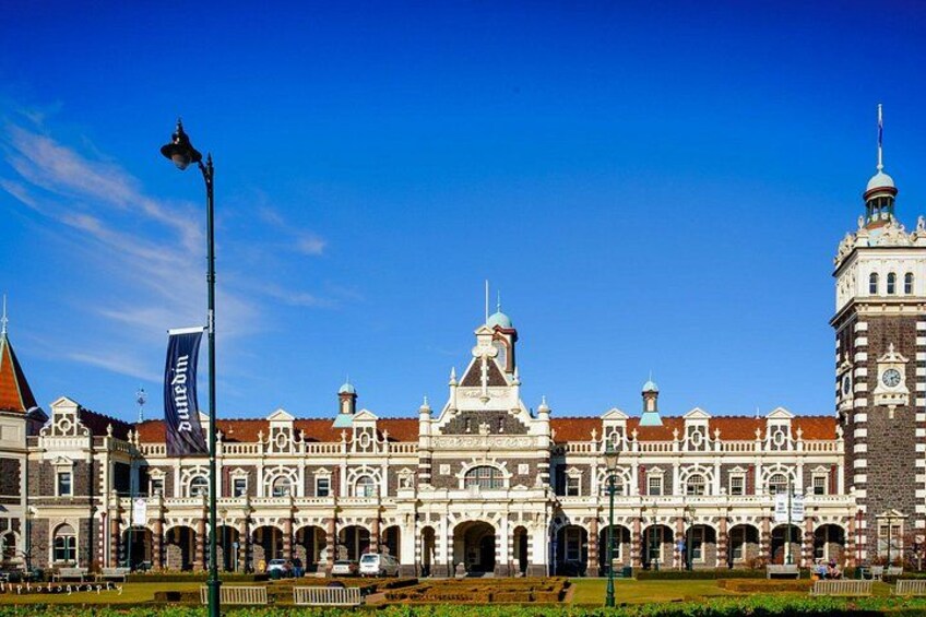 Dunedin Half Day Tour Explore Iconic Sights and Local Culture 2
