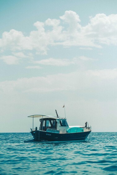 A small boat with a canopy on the water. 3