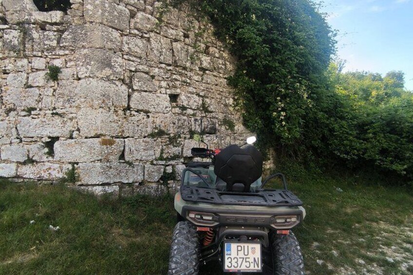 An ATV parked in front of a stone wall with greenery on the side. 5