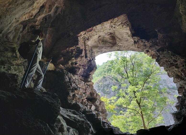 A cave with a natural archway leading to a forested area. 2