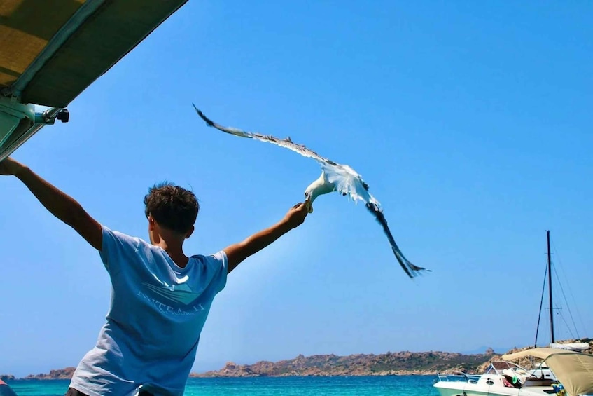 A person holding a seagull with outstretched arms, boats in the background, and a clear blue sky. 5