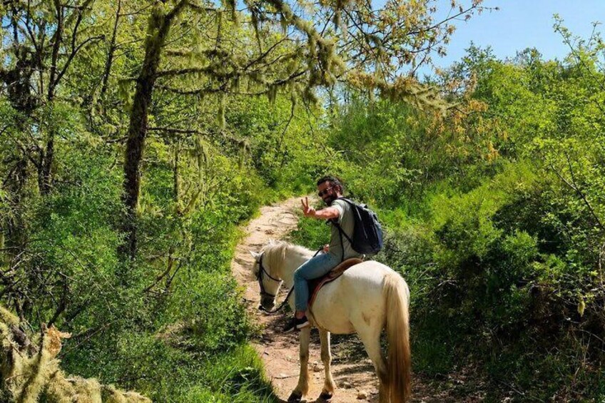 A person riding a horse on a dirt trail through a forest. 1