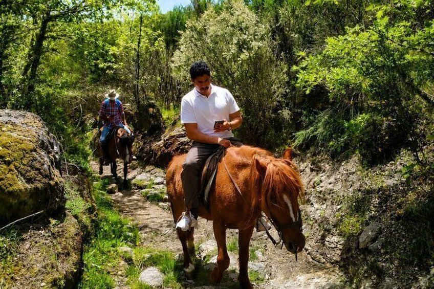 From Porto Douro Countryside Horse Riding Day Trip and Lunch 4