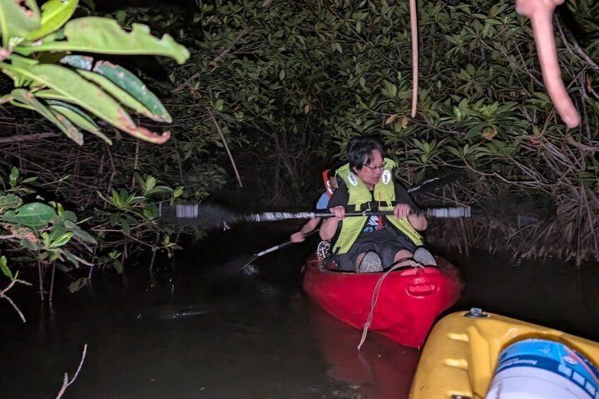 Hopkins Eco Kayaking Adventure Freshwater Creek Lagoon 3