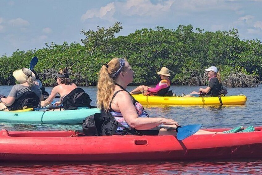Hopkins Eco Kayaking Adventure Freshwater Creek Lagoon 5