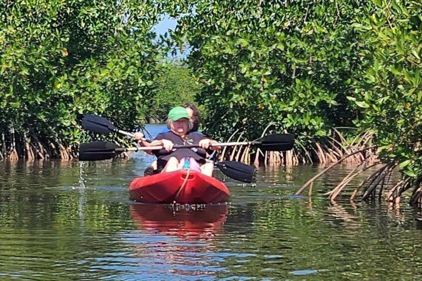 A person kayaking in a red kayak on calm water surrounded by mangrove trees. 5