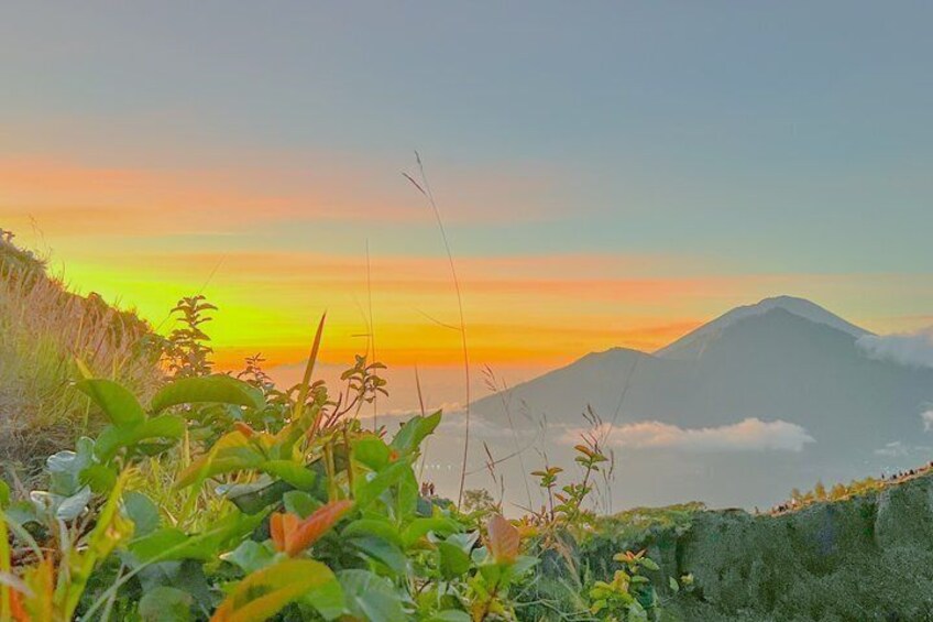A mountain landscape with a sunset, vegetation in the foreground, and clouds at the base of the mountain. 2