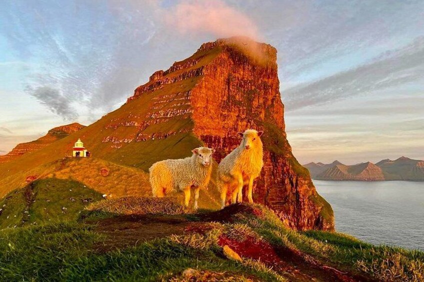 A mountain with a small building, two sheep, and a body of water in the background. 1