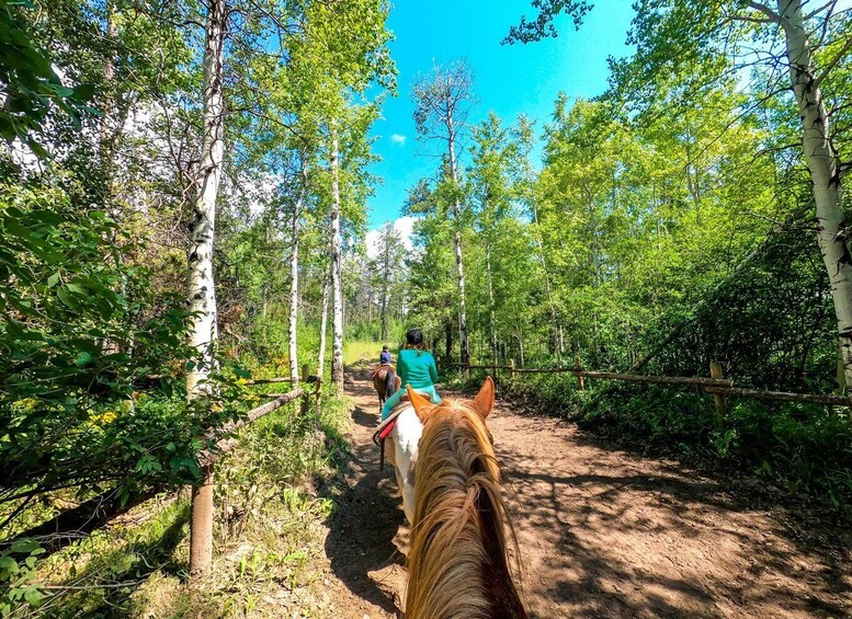 Glenwood Canyon: Horseback Riding at Historical Bair Ranch 1