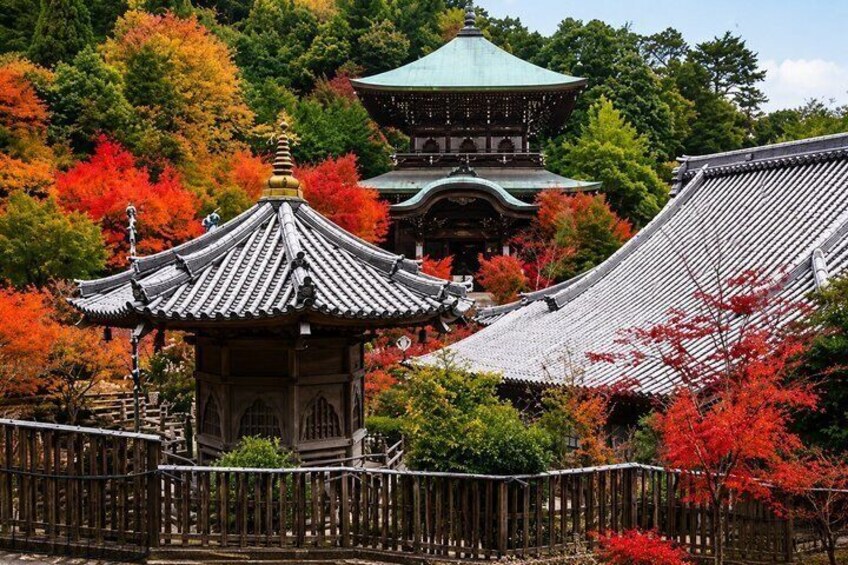A traditional Japanese temple with a pagoda, surrounded by autumn foliage. 5