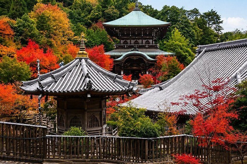 A traditional Japanese pagoda surrounded by autumn foliage. 5