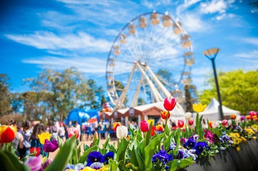 A Ferris wheel, colorful flowers, and a clear blue sky. 1