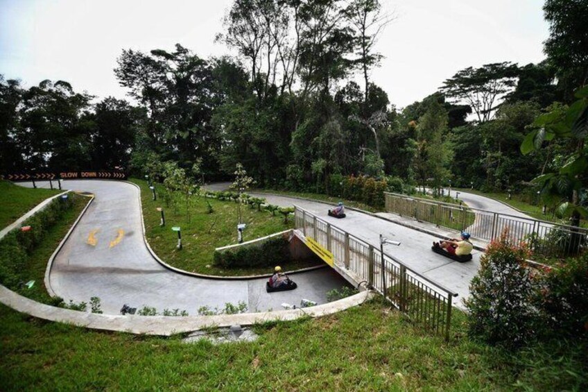 A winding road with a yellow curve warning, surrounded by greenery and trees. 5