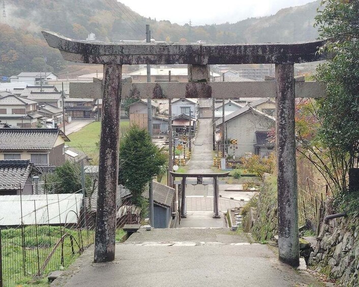 Picture 13 for Activity Hyogo: Takeda Castle “Castle in Sky” Mountain Hiking Tour 3