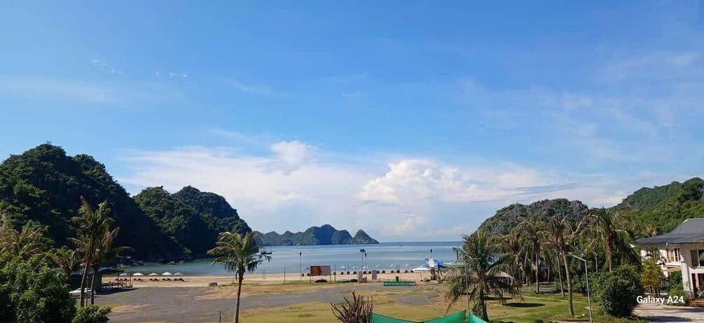 A beach with palm trees, a clear sky, and distant mountains. 3