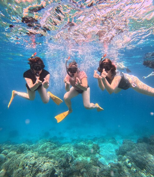 Three people snorkeling underwater. 5