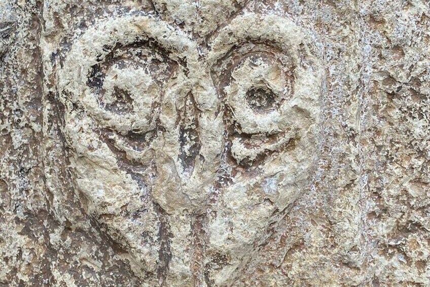 A close-up of a tree bark with two spiral patterns. 4