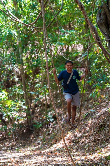 A person navigating a rope bridge in a forested area. 4