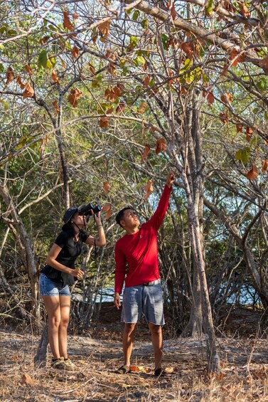Two people using binoculars in a wooded area with trees and dry leaves on the ground. 2