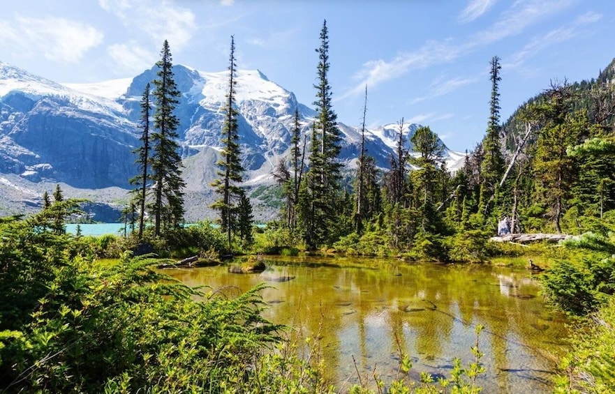A mountain landscape with a clear lake, tall evergreen trees, and snow-capped peaks. 1