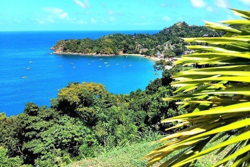A coastal landscape with dense greenery, a clear blue sea, and boats anchored near the shore. 1