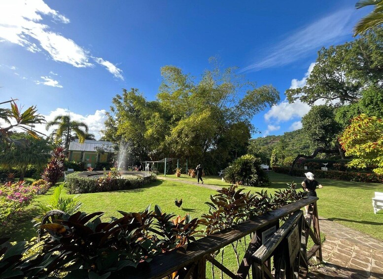 A lush garden with a fountain, a wooden fence, and a building in the background. 3