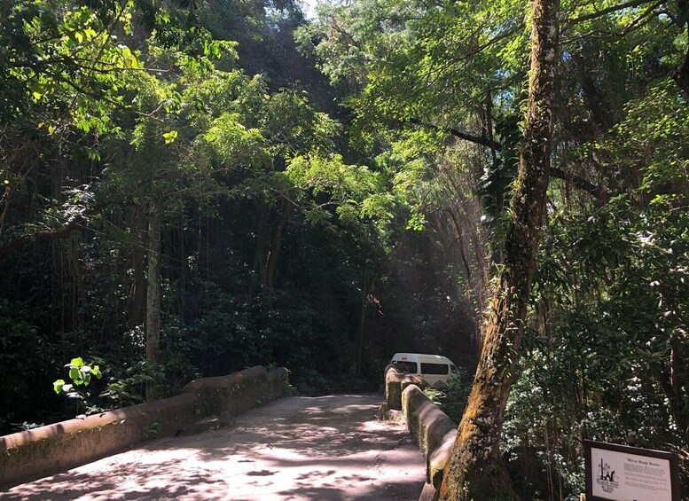 A forested area with a paved path, a white van, and a signboard. 4