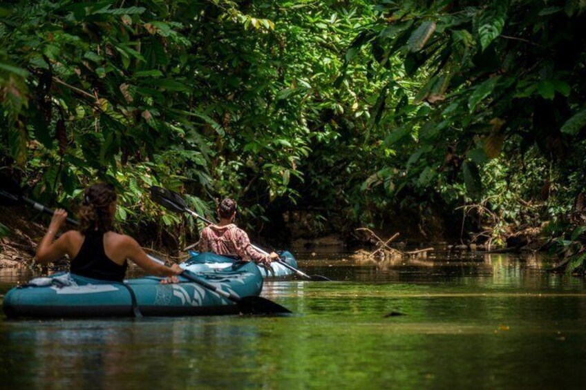 Two people kayaking on a river surrounded by dense greenery. 1