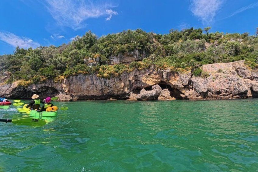 Kayakers on a calm sea with a rocky coastline and lush greenery. 3