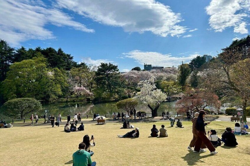 A park with people sitting and walking, cherry blossoms, and a lake. 5