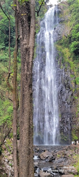 A waterfall surrounded by lush greenery and rocky terrain. 5