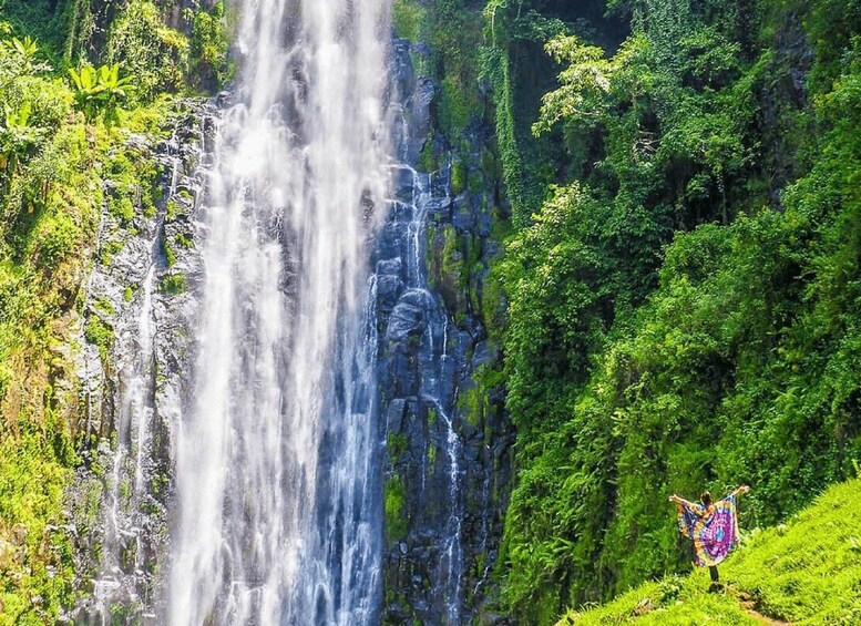 A waterfall cascading down a rocky cliff surrounded by lush greenery. 3