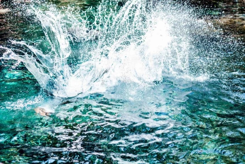A splash of water in a clear blue body of water. 1